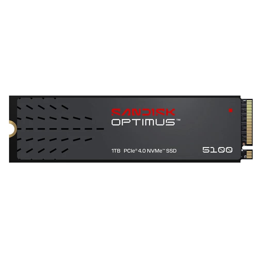 Sandisk SSD-Festplatte
