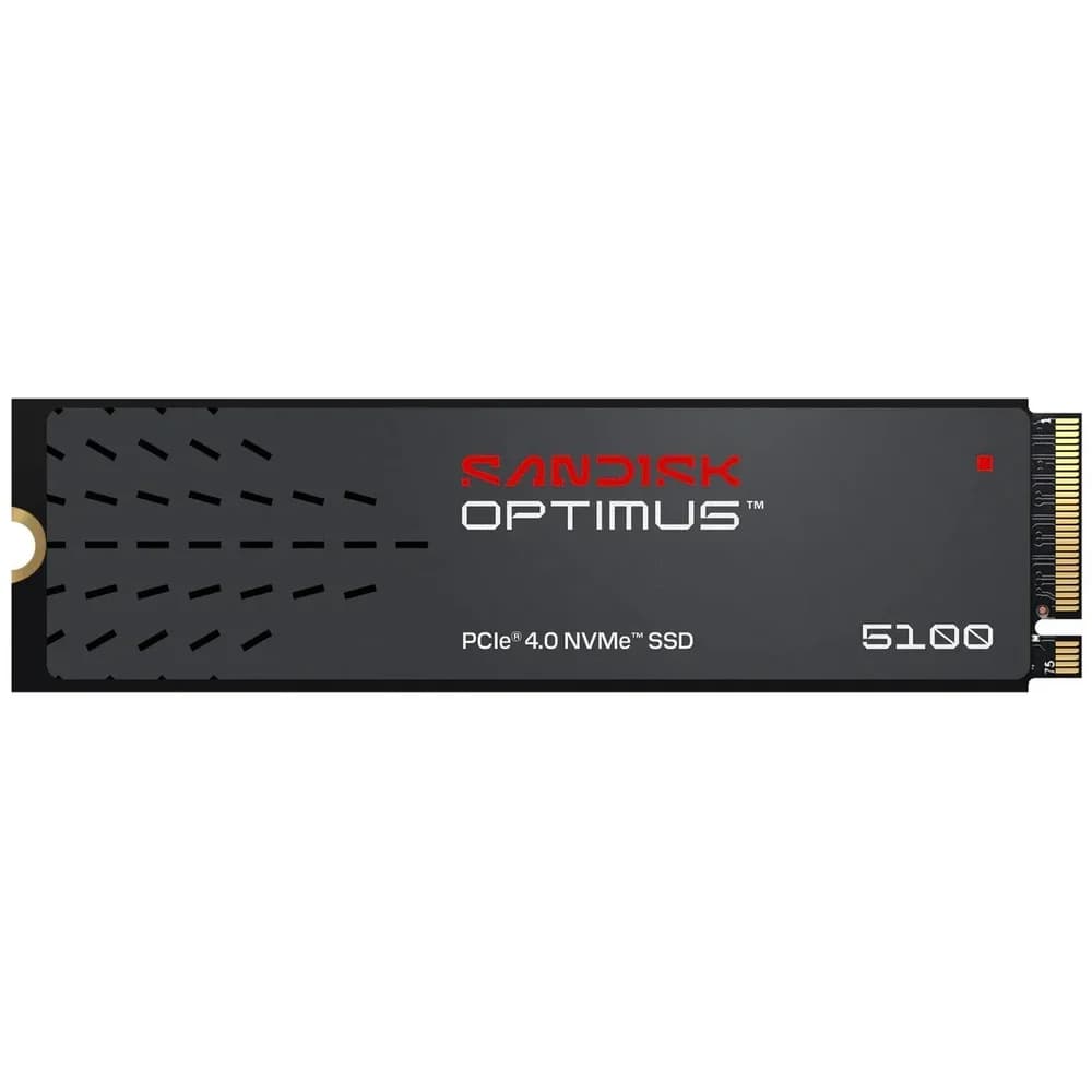 Sandisk SSD-Festplatte