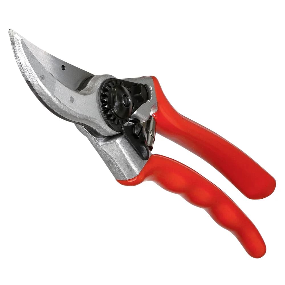 2 - Secateurs