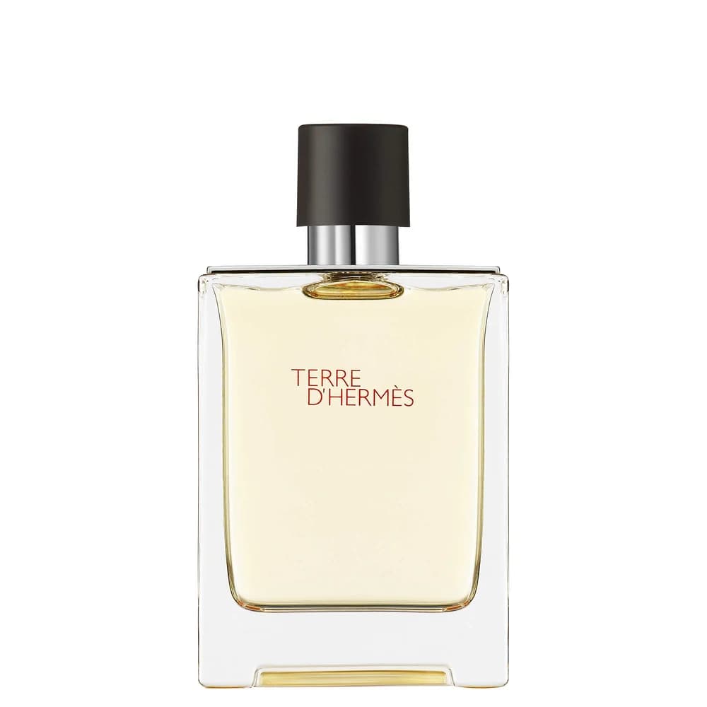 Terre d' EDT - 100 ml0