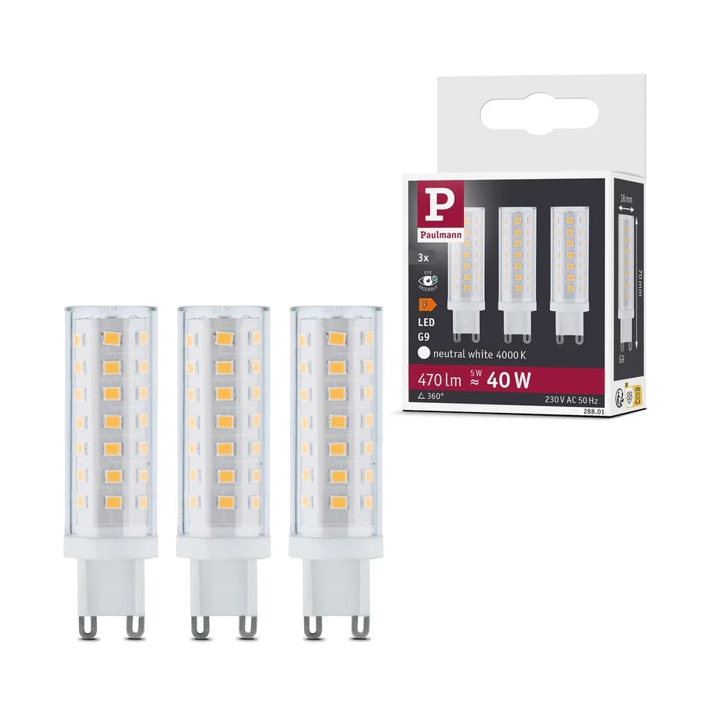 Paulmann LED-Standardlampe 288.01