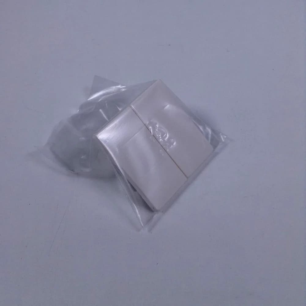 Siemens 5TG6205 Wippe 2-fach