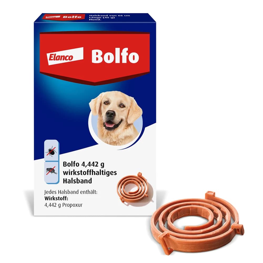 BOLFO HB GR. 1 St Halsband