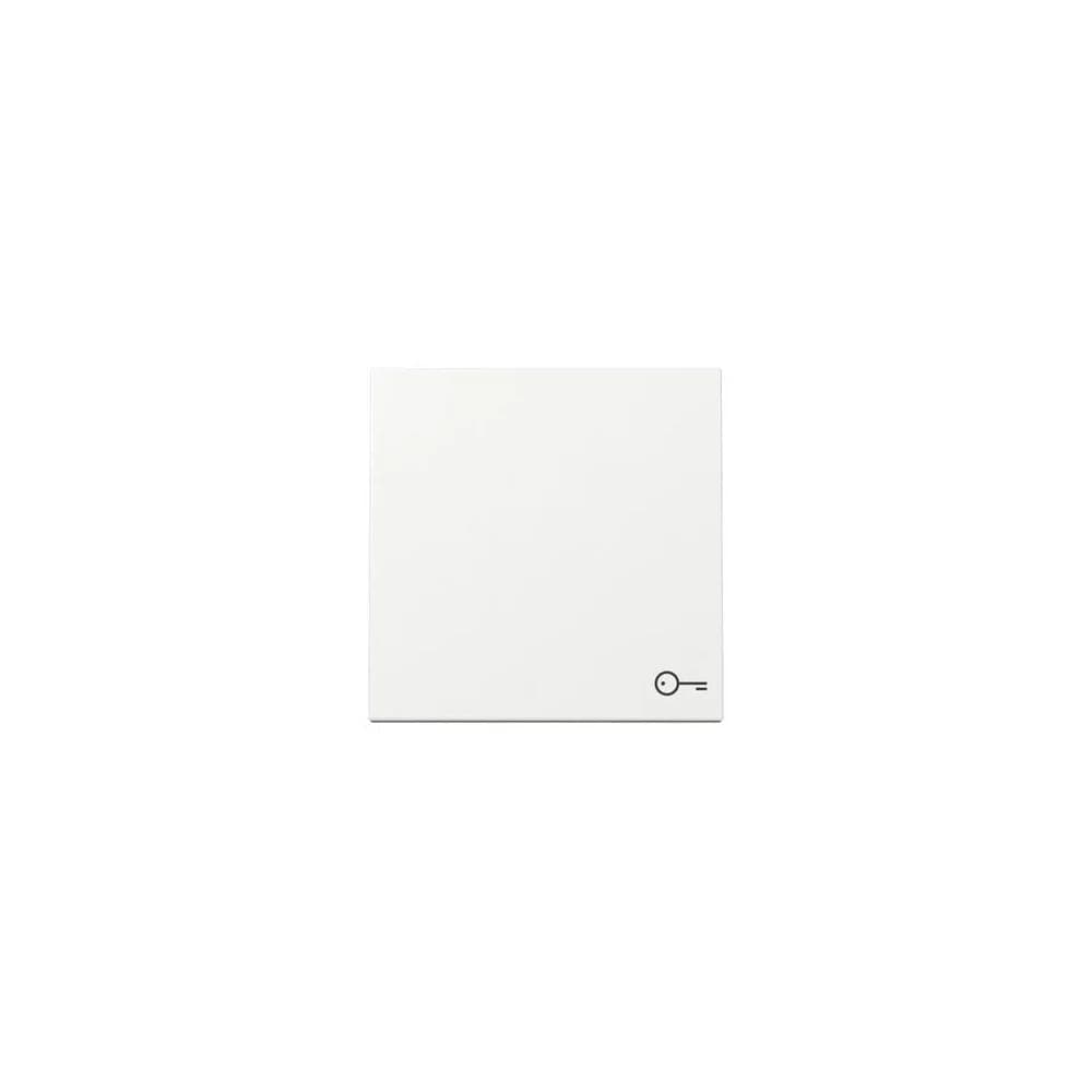 Gira Wippe Symb. Tür 328703
