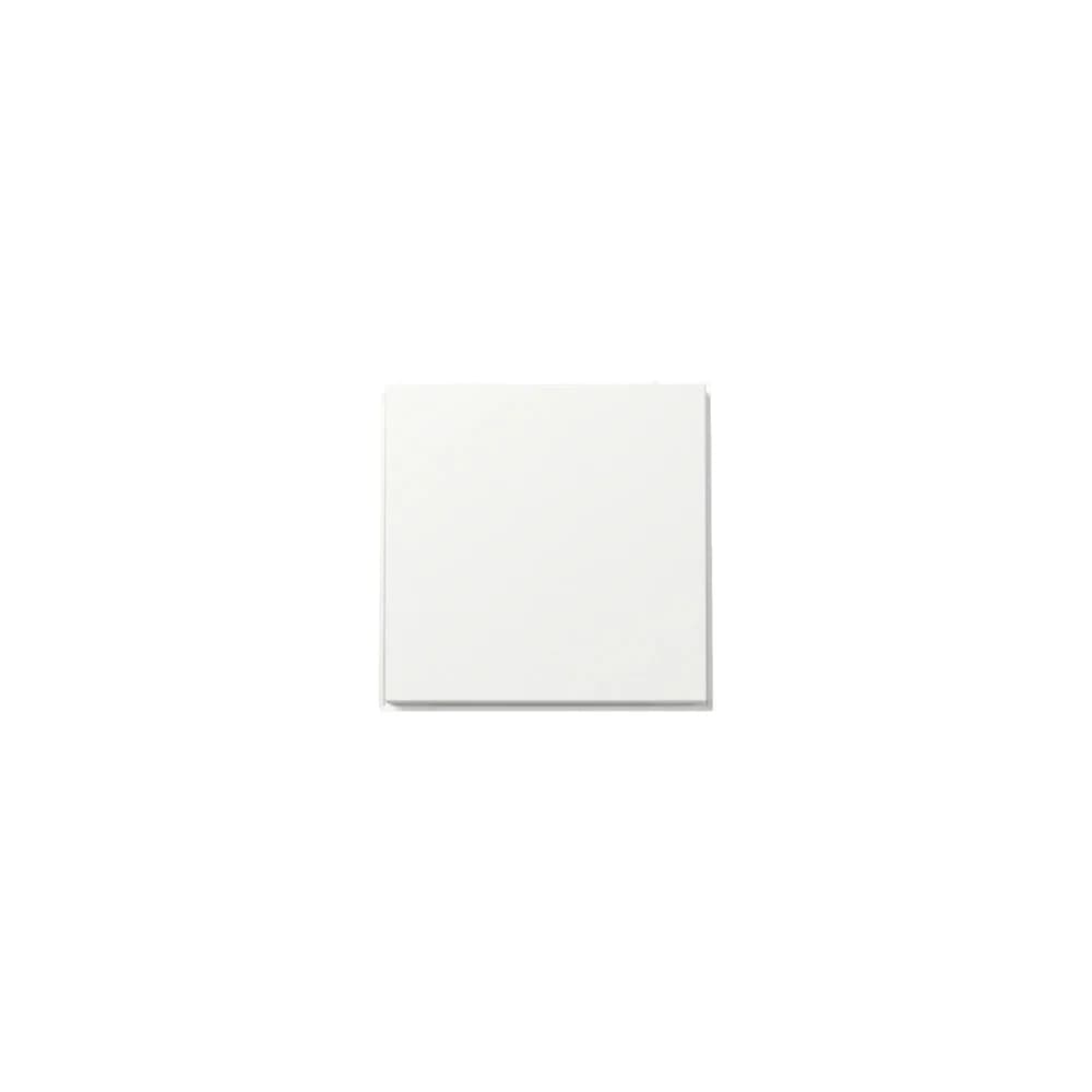 Gira Wippe gerade 349666