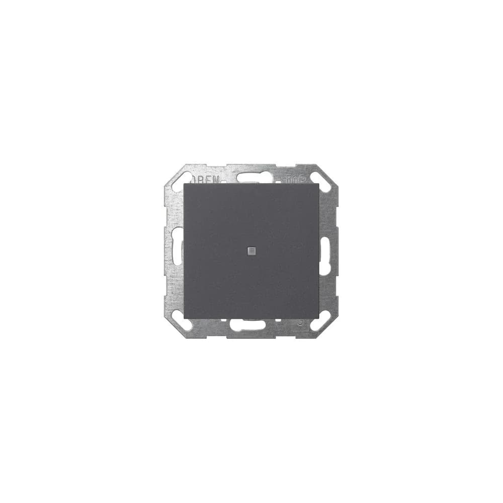 Gira Taster Wippe 517128