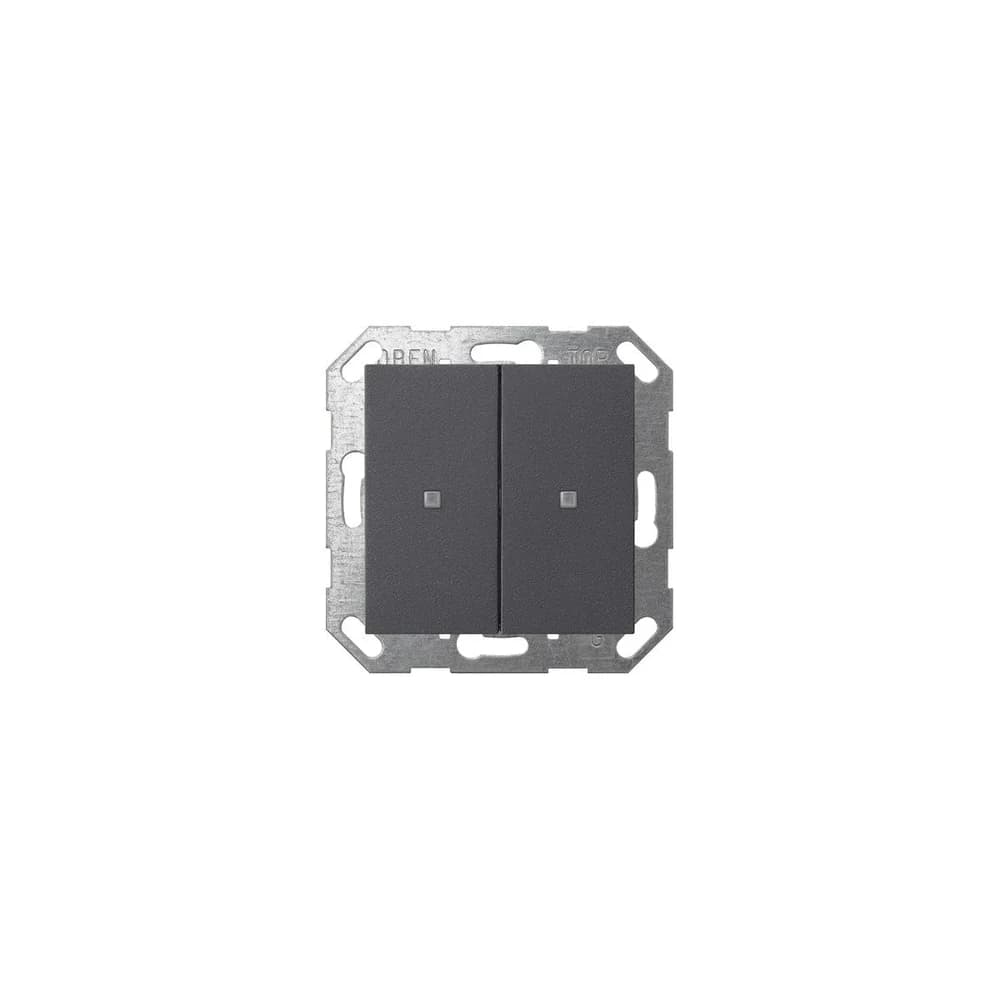 Gira Taster Wippe 517328