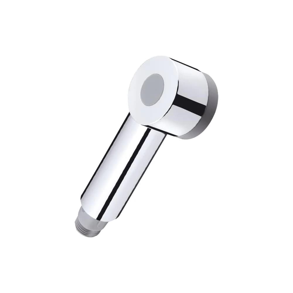 hansgrohe Kopfbrause