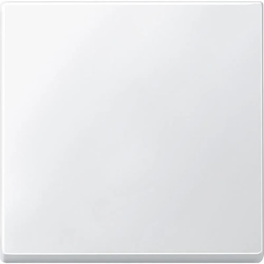 Merten Wippe pws 433119