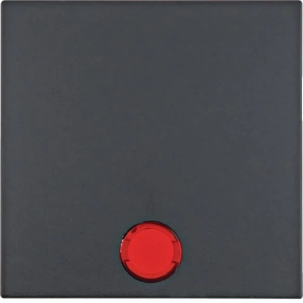 Berker Wippe anth matt 16211606