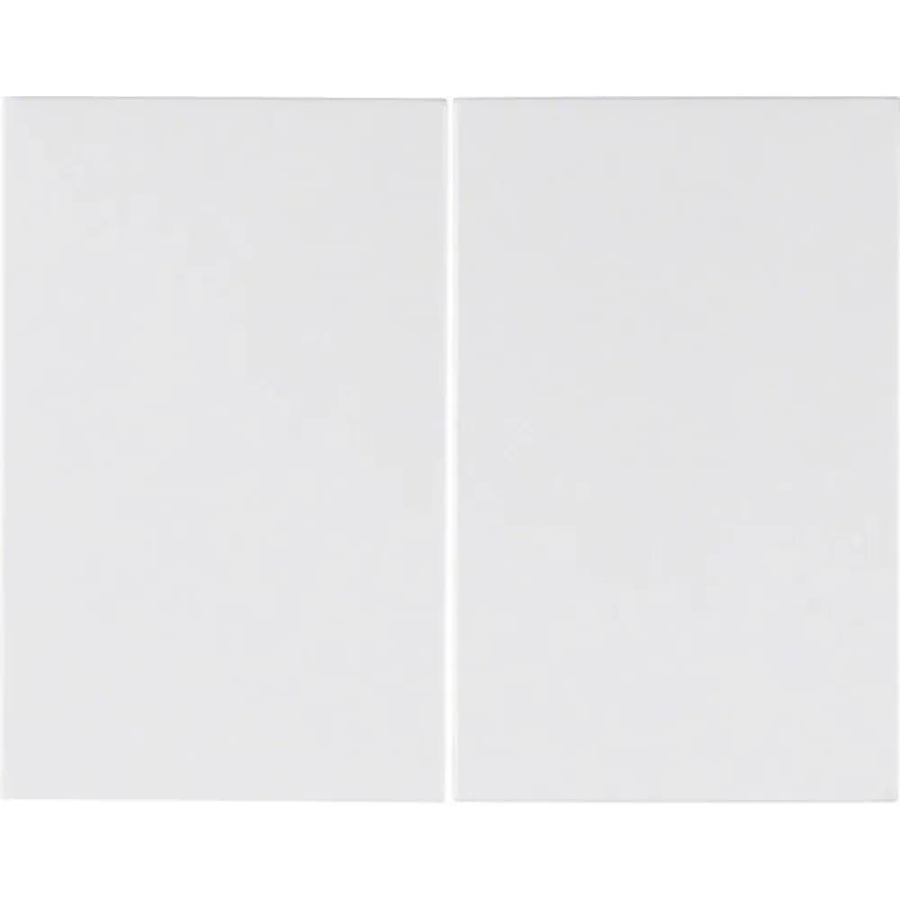 Berker Wippe pws/gl 14357009