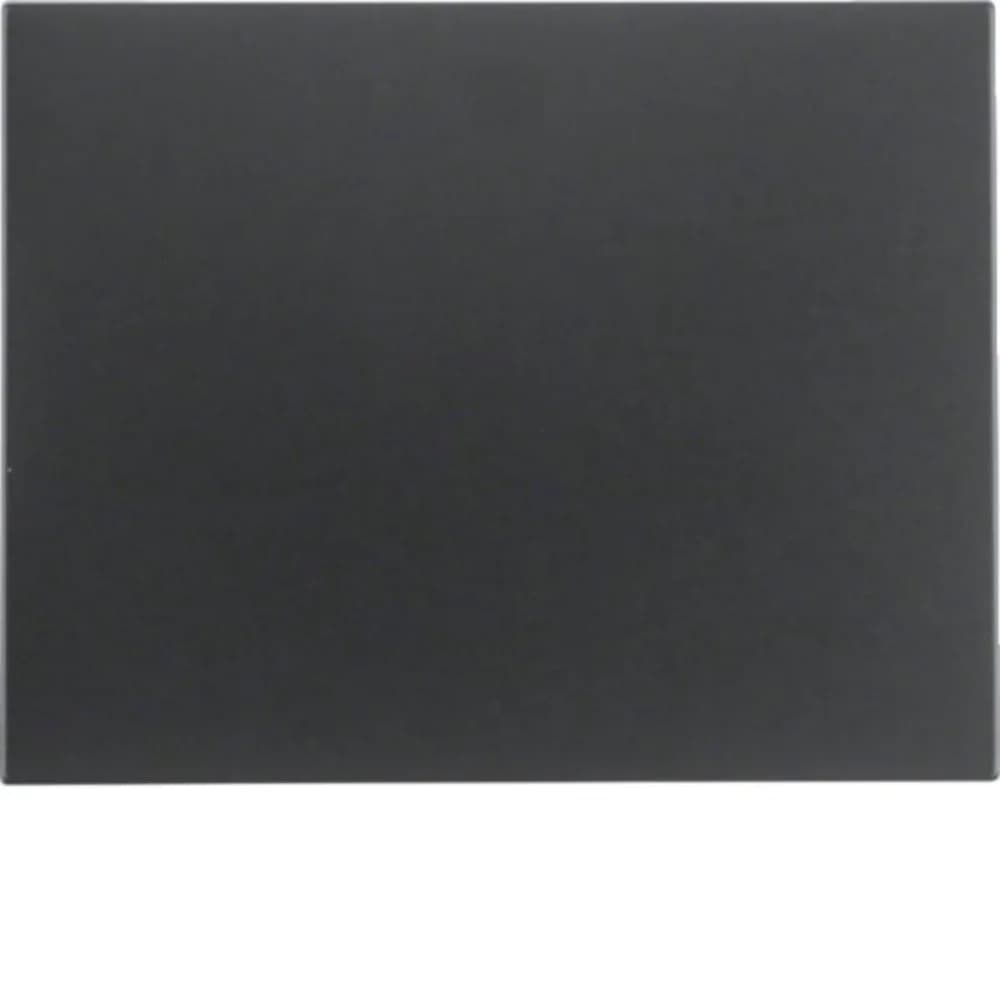 Berker Wippe K.1 14057006