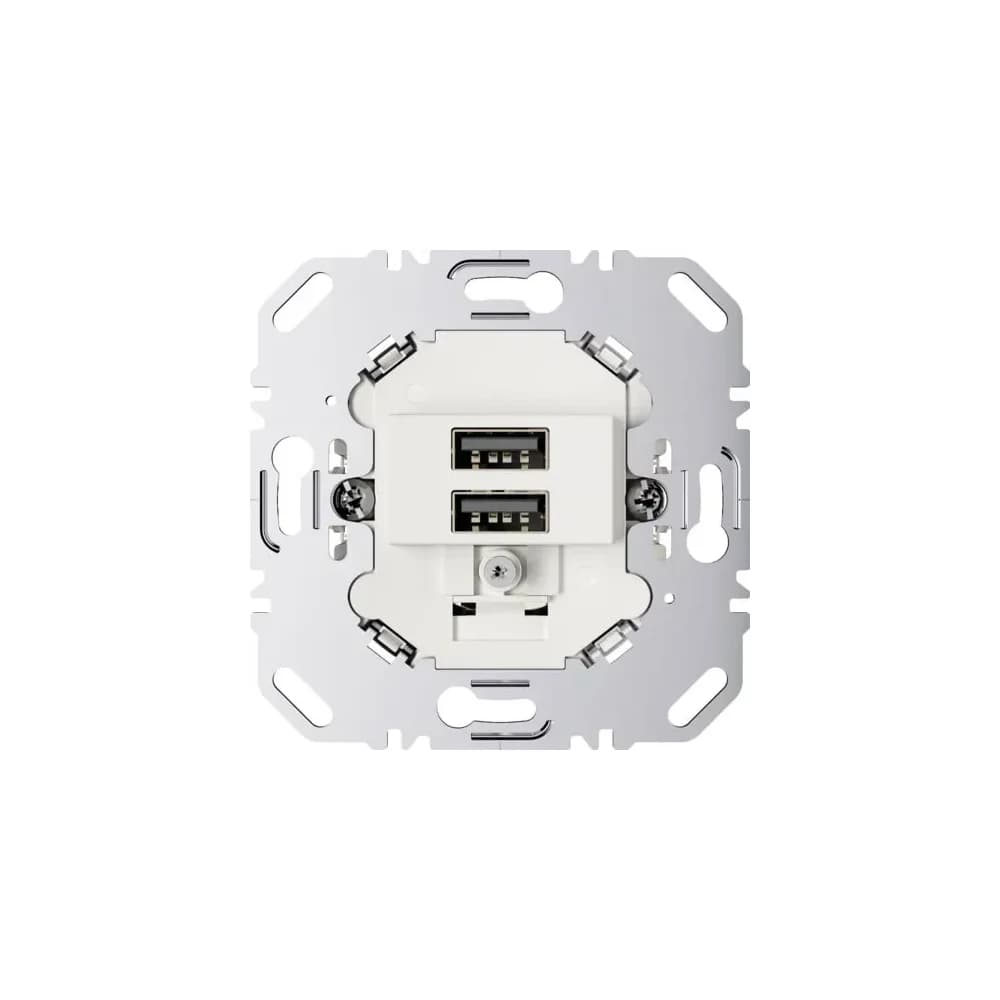 Berker USB Ladesteckdose 230V 260209