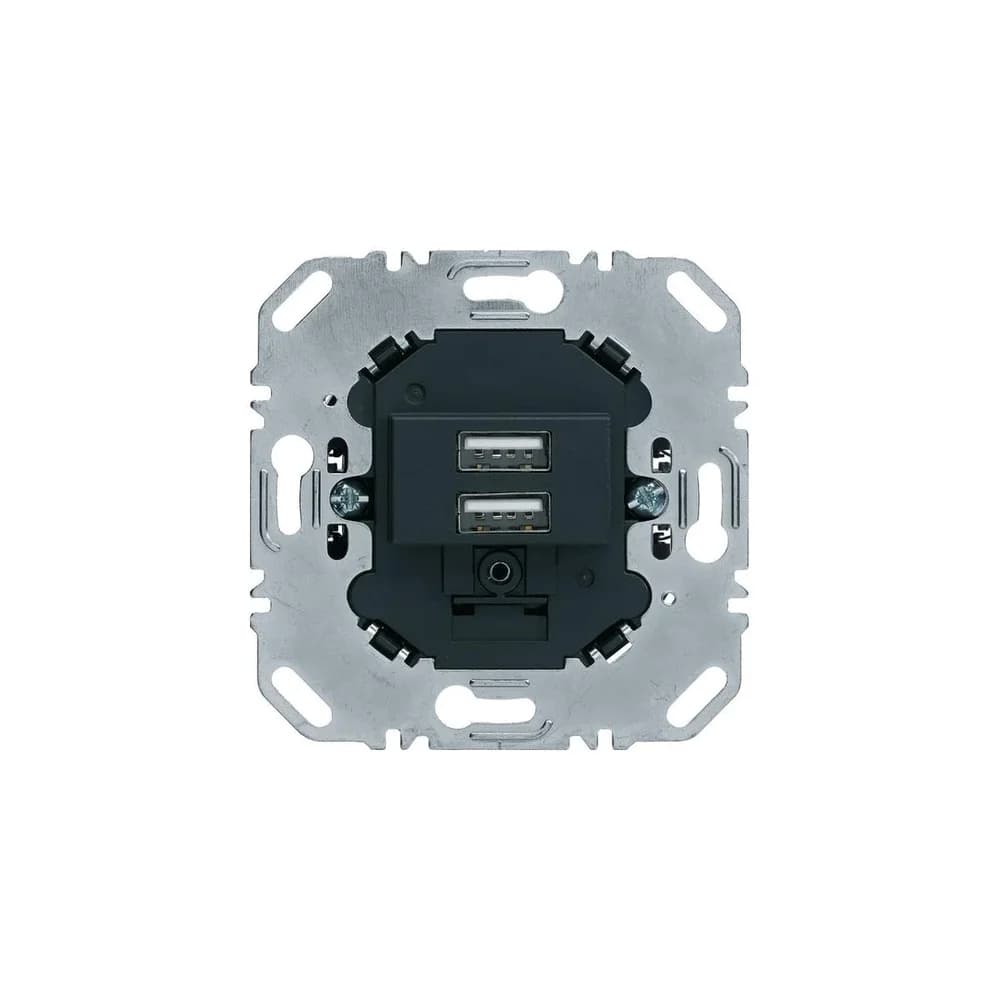 Berker USB Ladesteckdose 230V 260205