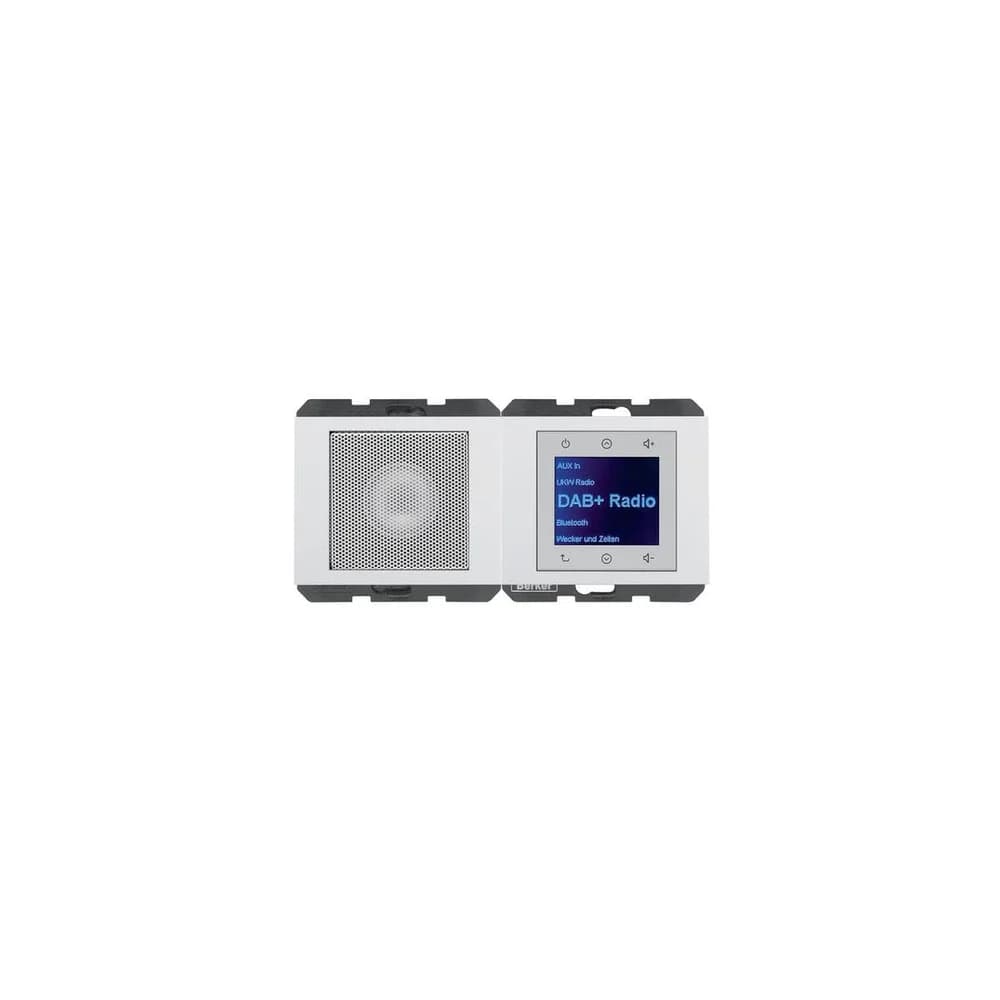 Berker Radio mit Lautspr. DAB+ K. 29807009