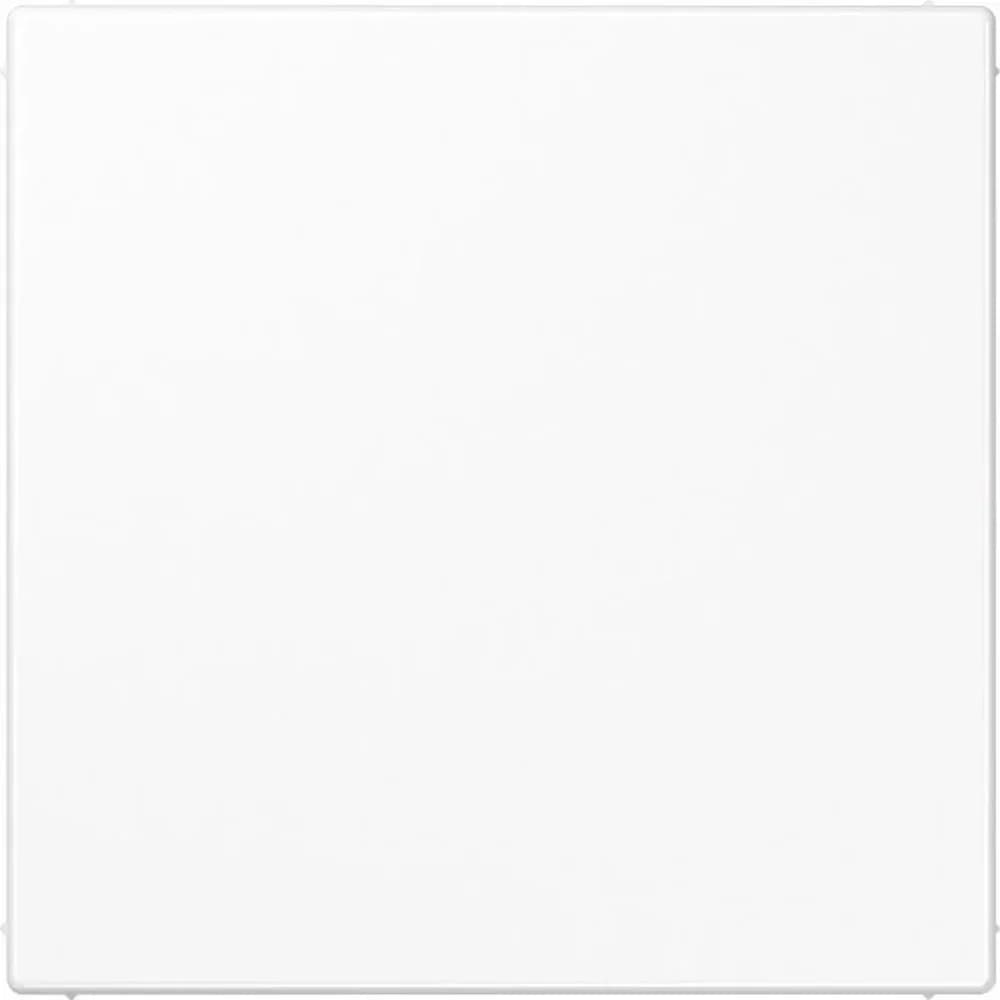 Jung Blind-Abdeckung aws LS 994 B WW