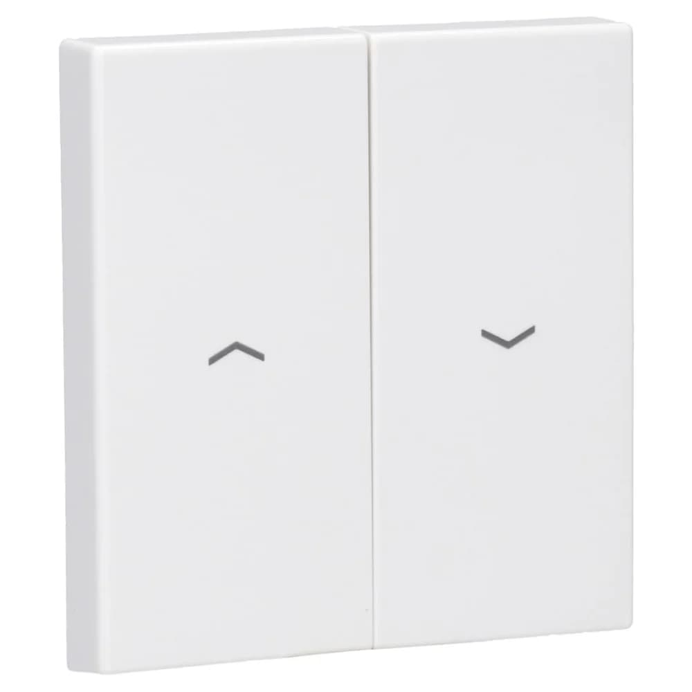 Jung Wippe Symbole aws LS 995 P WW