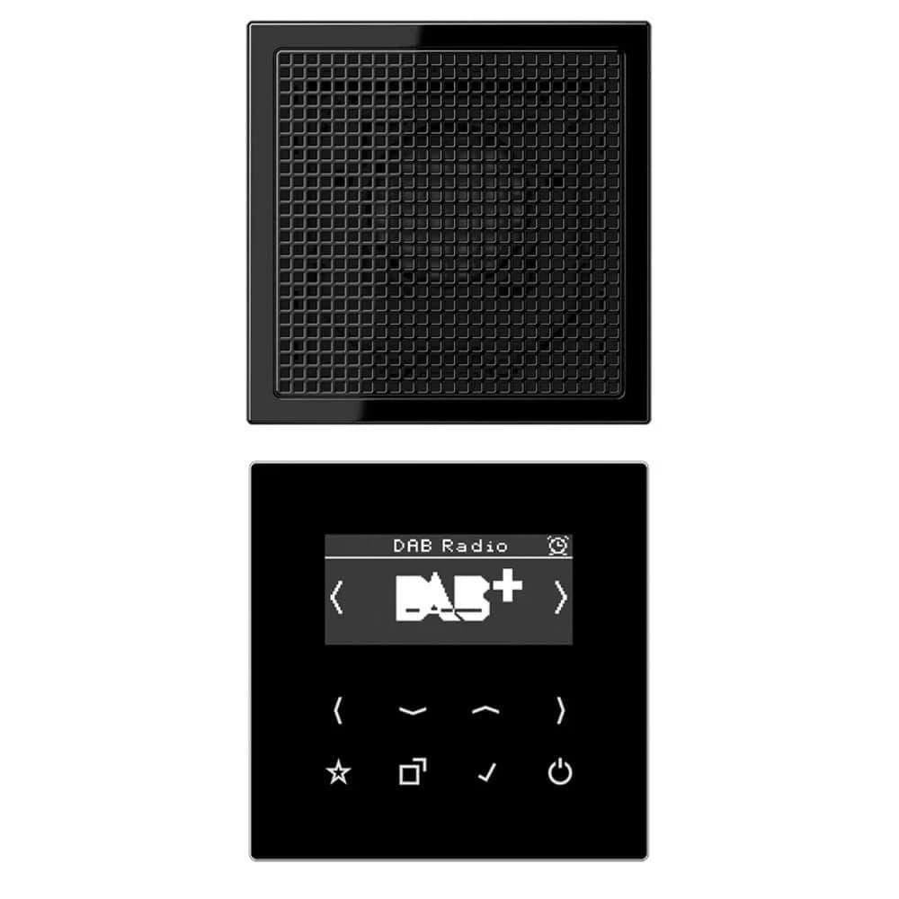 Jung Smart DAB+ Digitalradio DAB LS1 SW