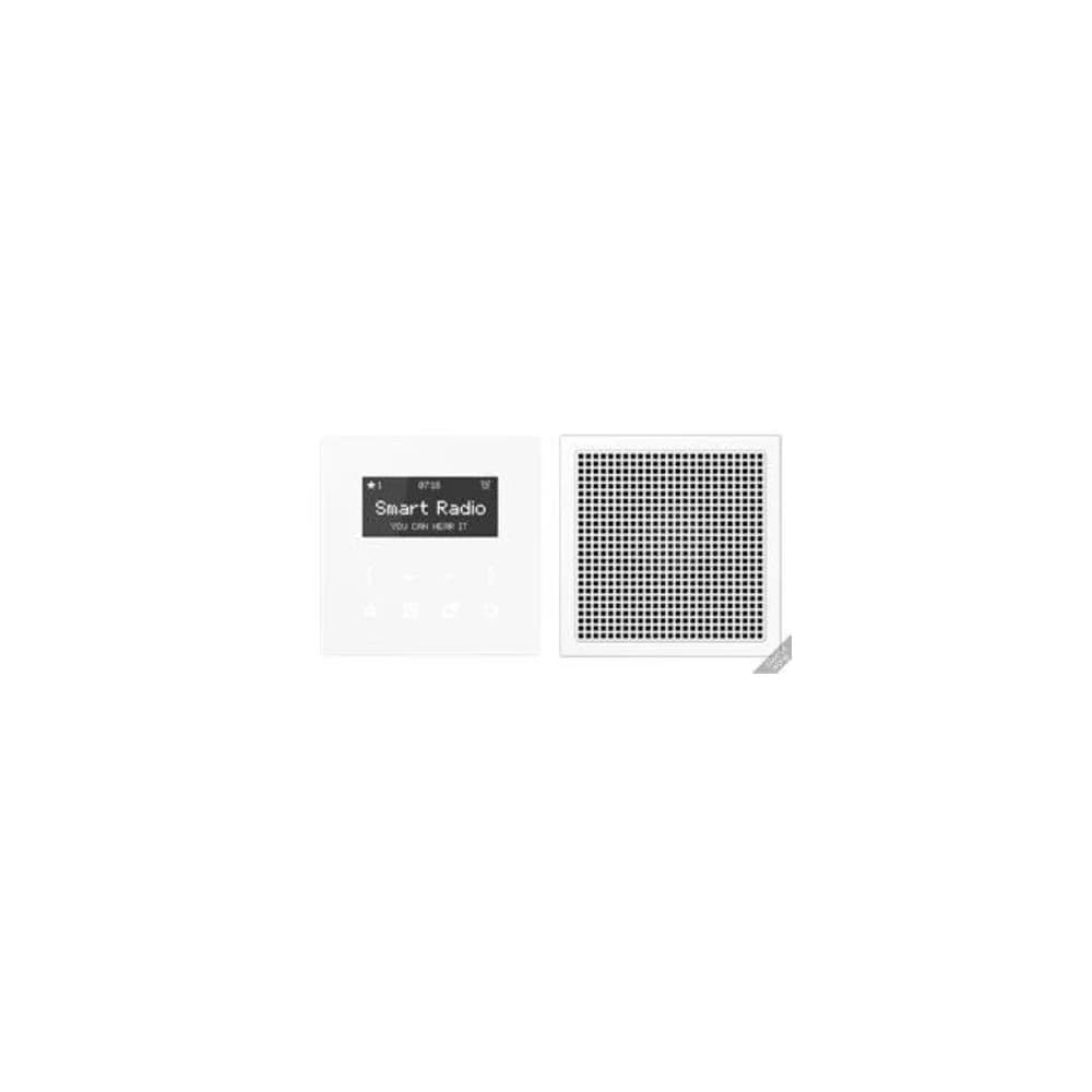 Jung Smart DAB+ Digitalradio DAB A1 BT WW