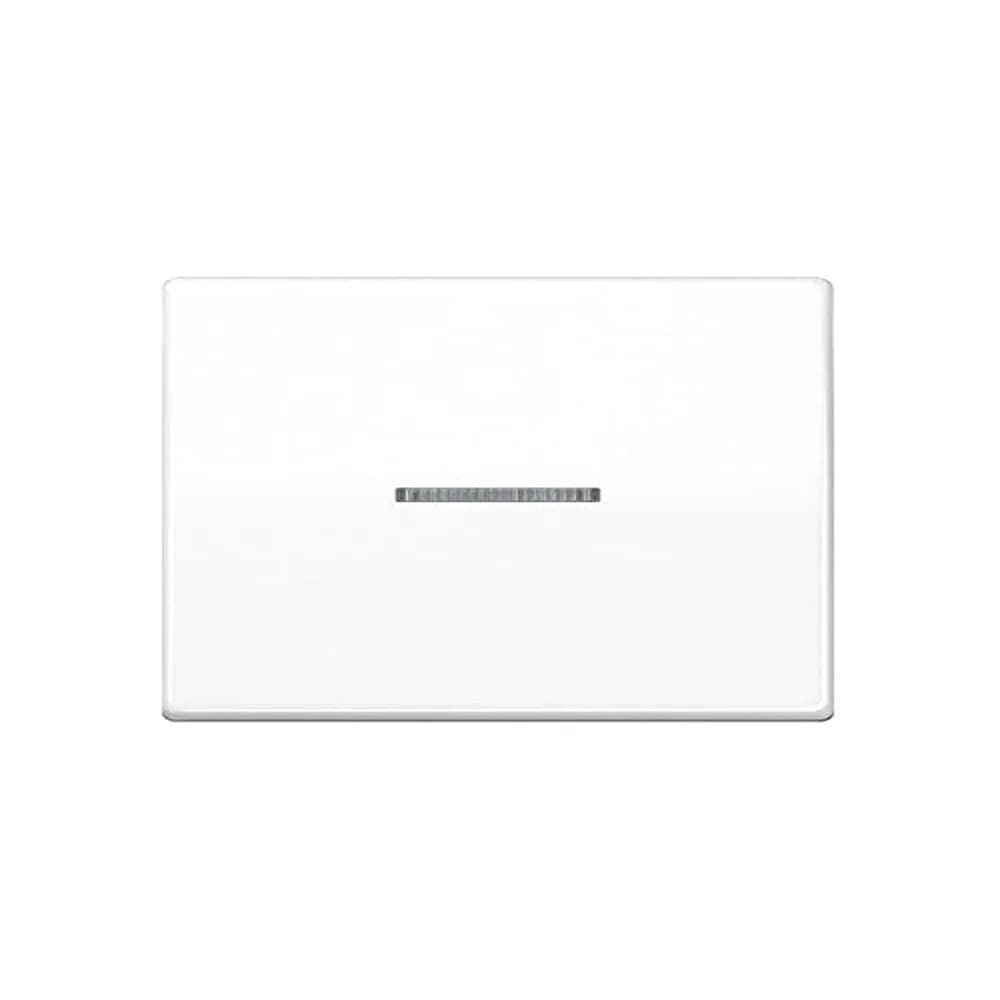Jung Wippe Lichtleiter aws AS 591 KO5 WW