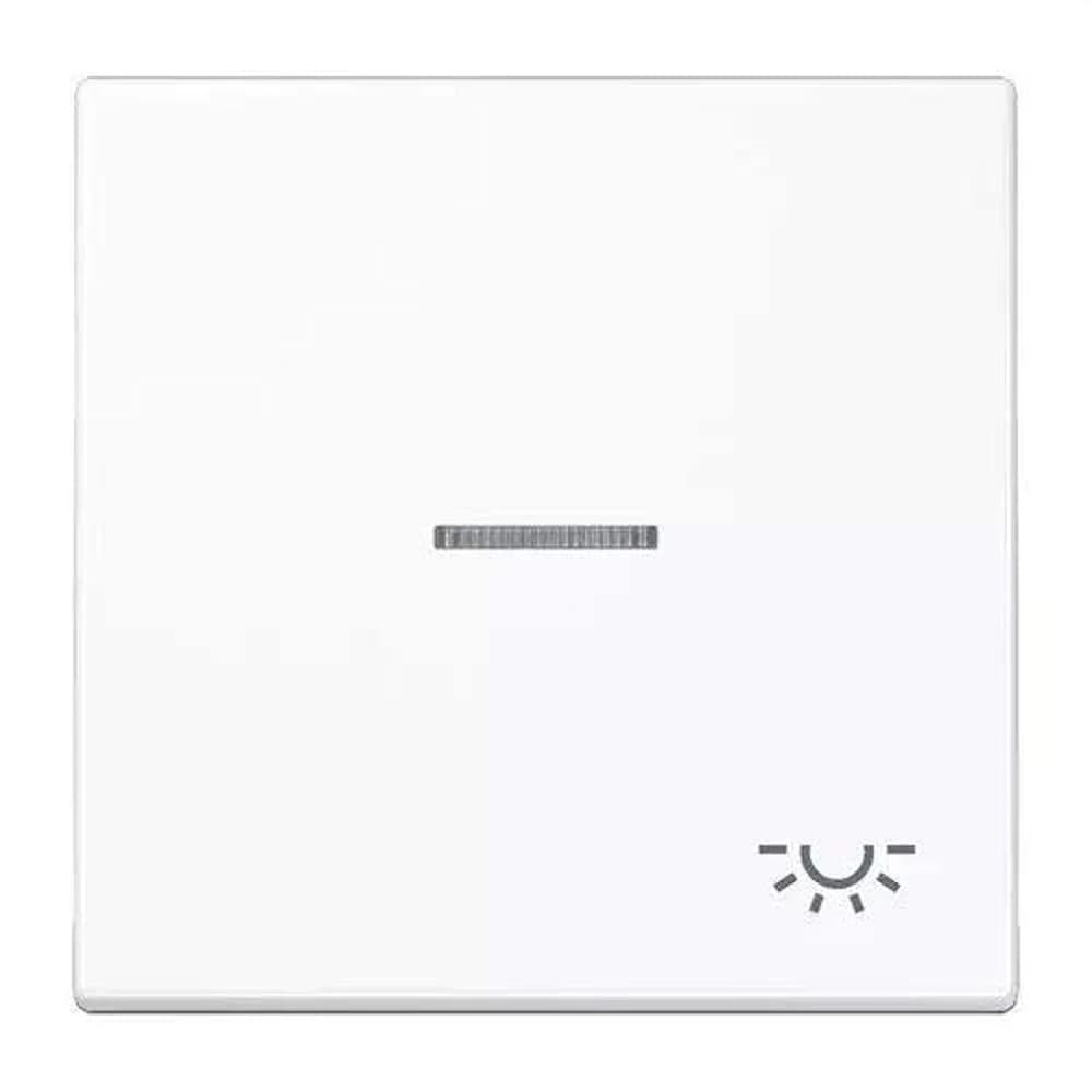 Jung Wippe Sym.LICHT/Lichtl.aw LS 990 KO5 L WW