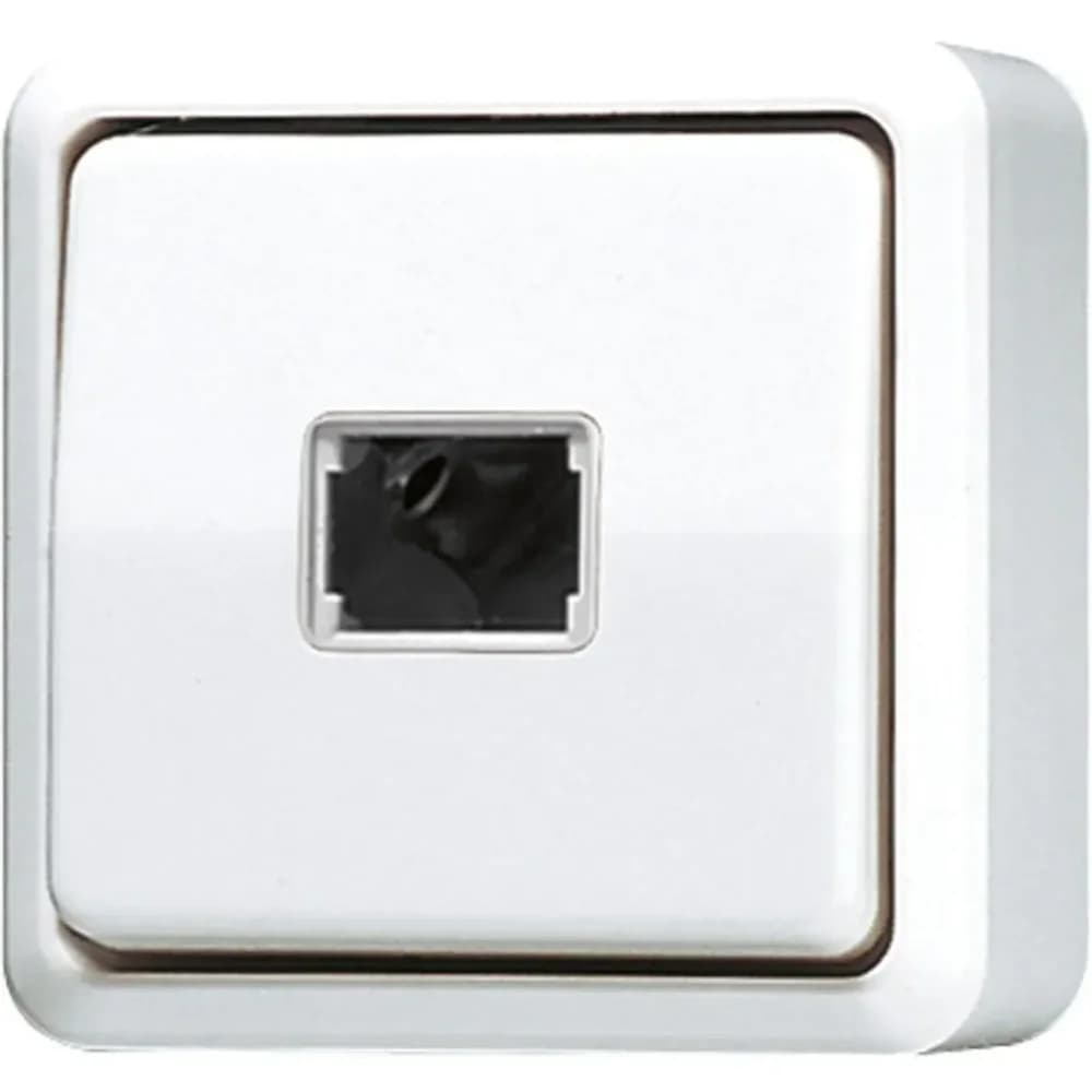 Jung Taster ohne Symbole aws 631 A WW