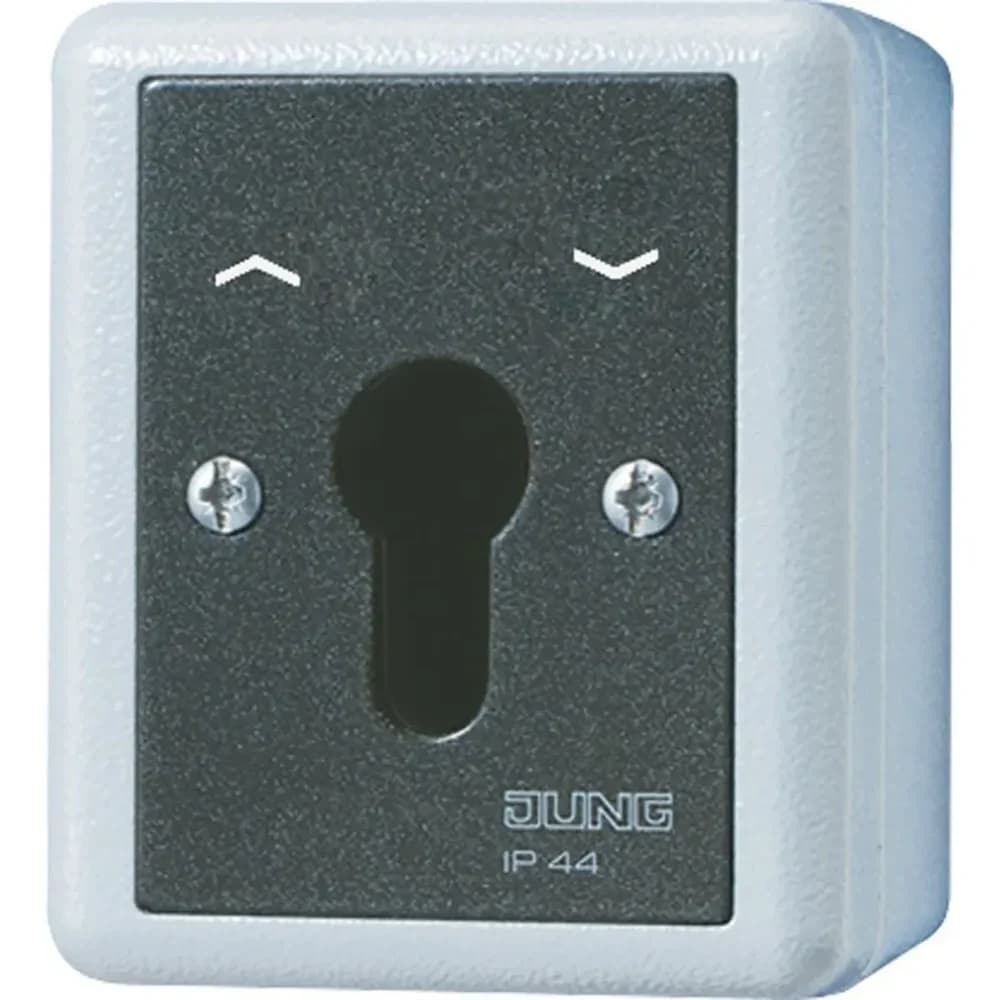 Jung Schlüsselschalter 804.28 G