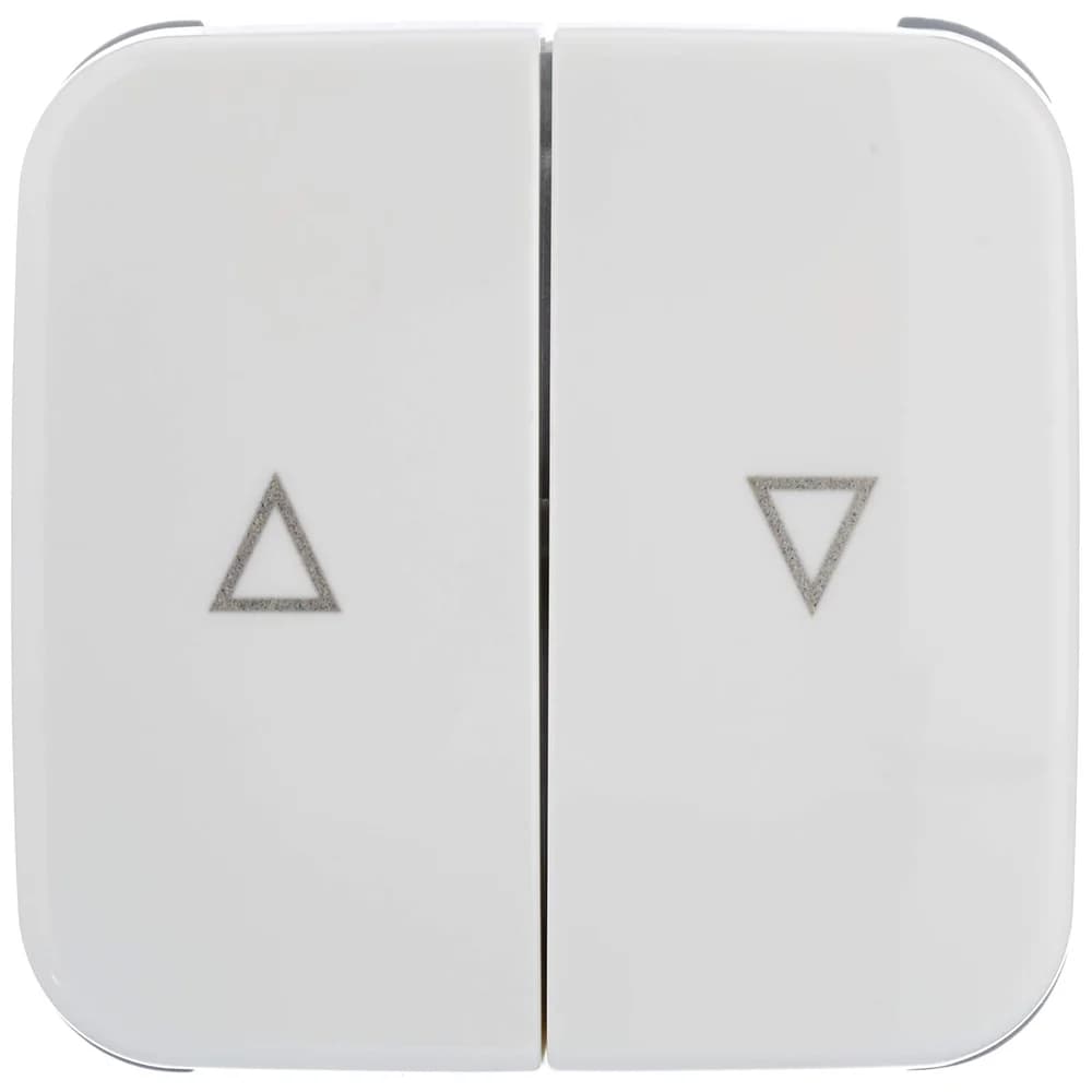Busch-Jaeger Jalousie-Wippe aws 2504-214