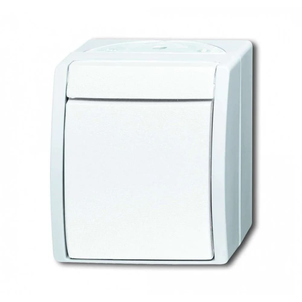 Busch-Jaeger Kreuzschalter 2601/7 W-54