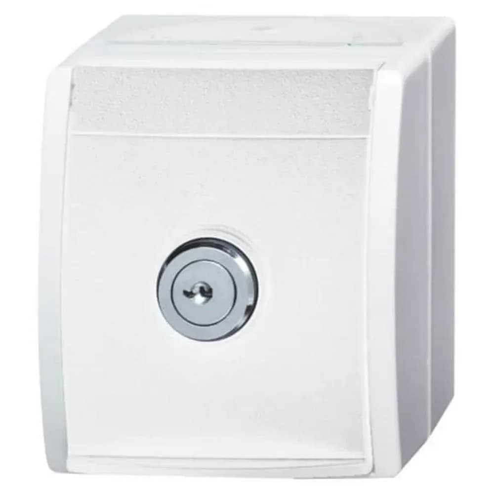 Busch-Jaeger SCHUKO-Steckdose 20 EWSL-101-54
