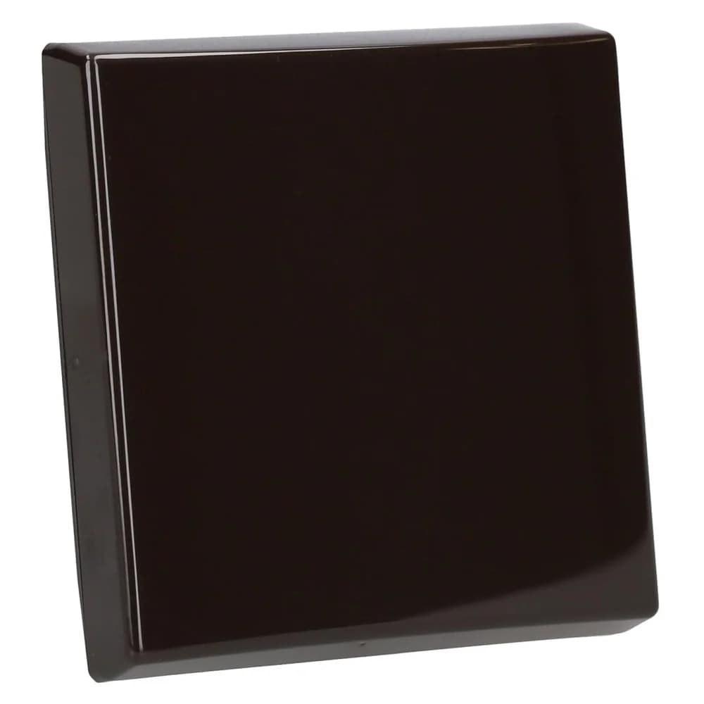 Busch-Jaeger Wippe braun 2106-31