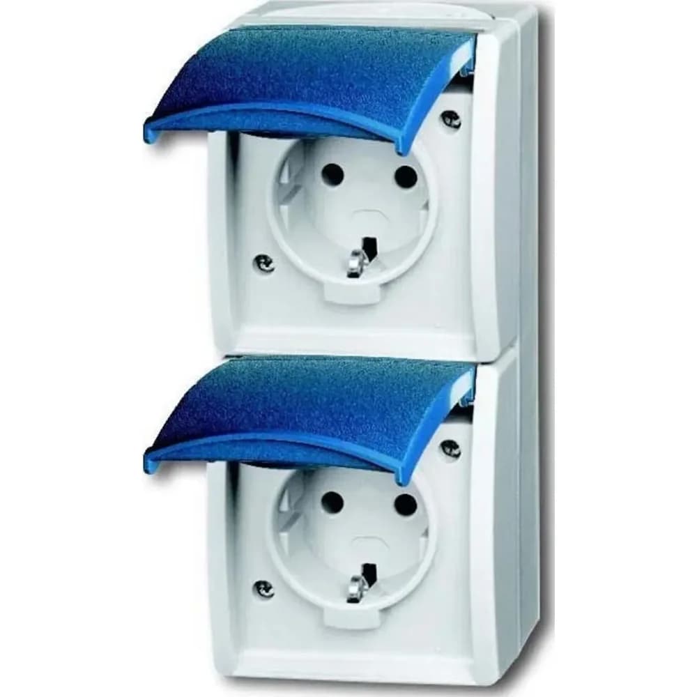 Busch-Jaeger, Steckdose, Steckdose,senkrecht,2fach