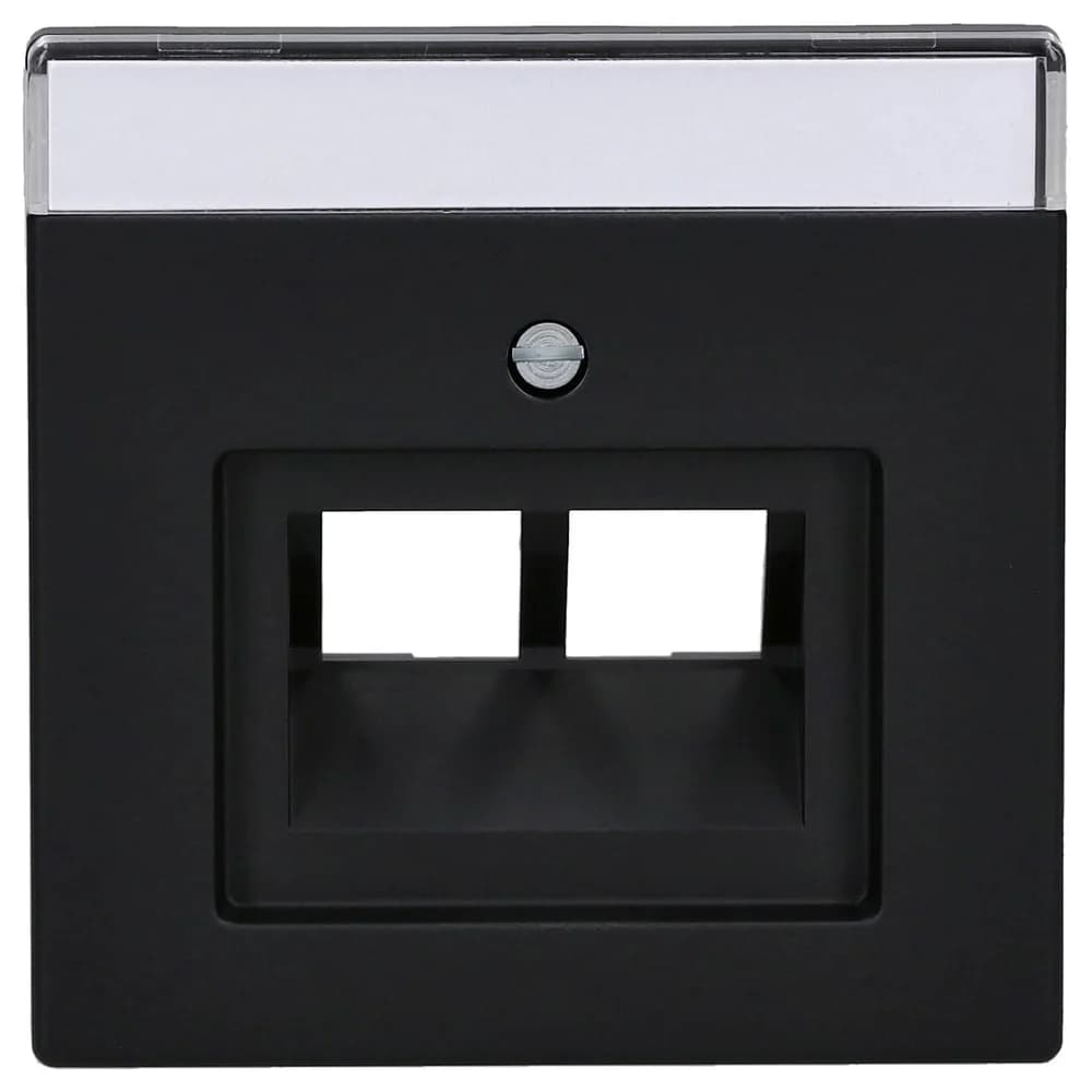 Busch-Jaeger Zentralscheibe sw mt 1803-02-885