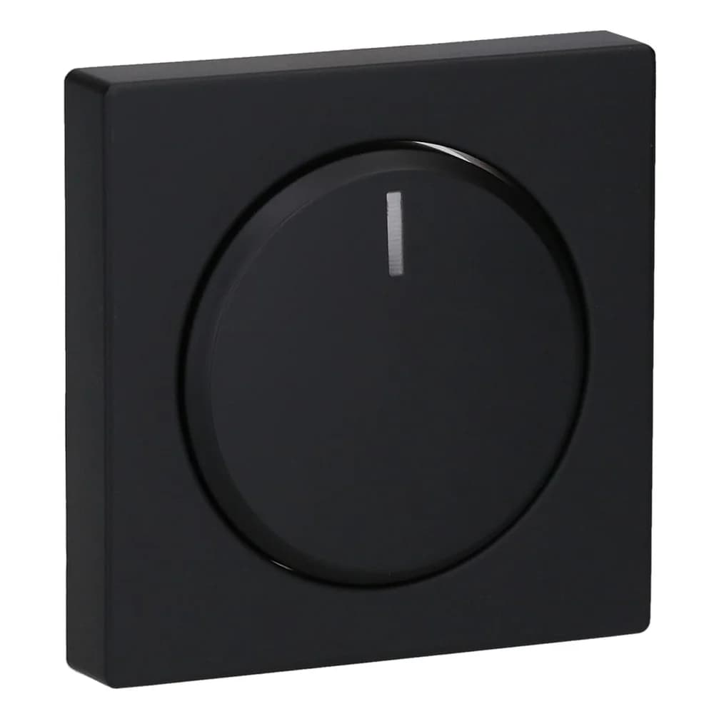 Busch-Jaeger Zentralscheibe sw mt 6540-885-102