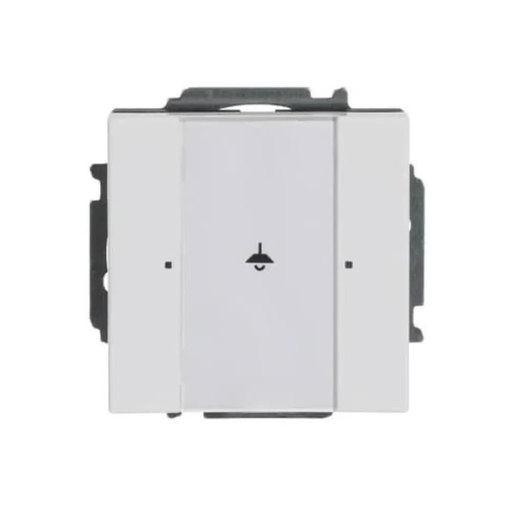 Busch-Jaeger Tastsensor, 1fach 6125/01-84