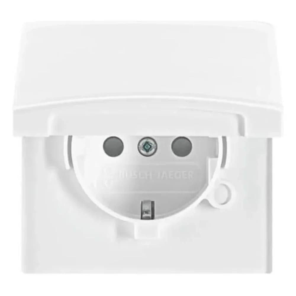 Busch-Jaeger Schuko-Steckdoseneinsatz 20 EUGKB-34-101