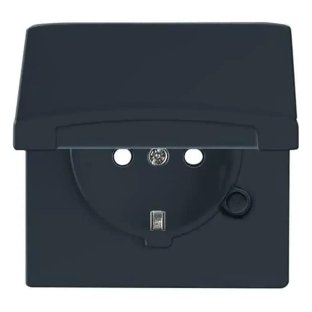 Busch-Jaeger Schuko-Steckdoseneinsatz 20 EUGKB-35-101