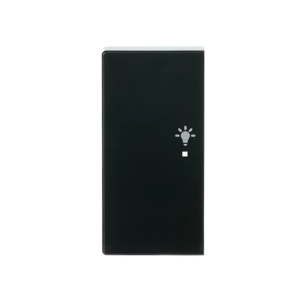 Busch-Jaeger Wippe 2-f li, Symbol Licht 6231-21-81