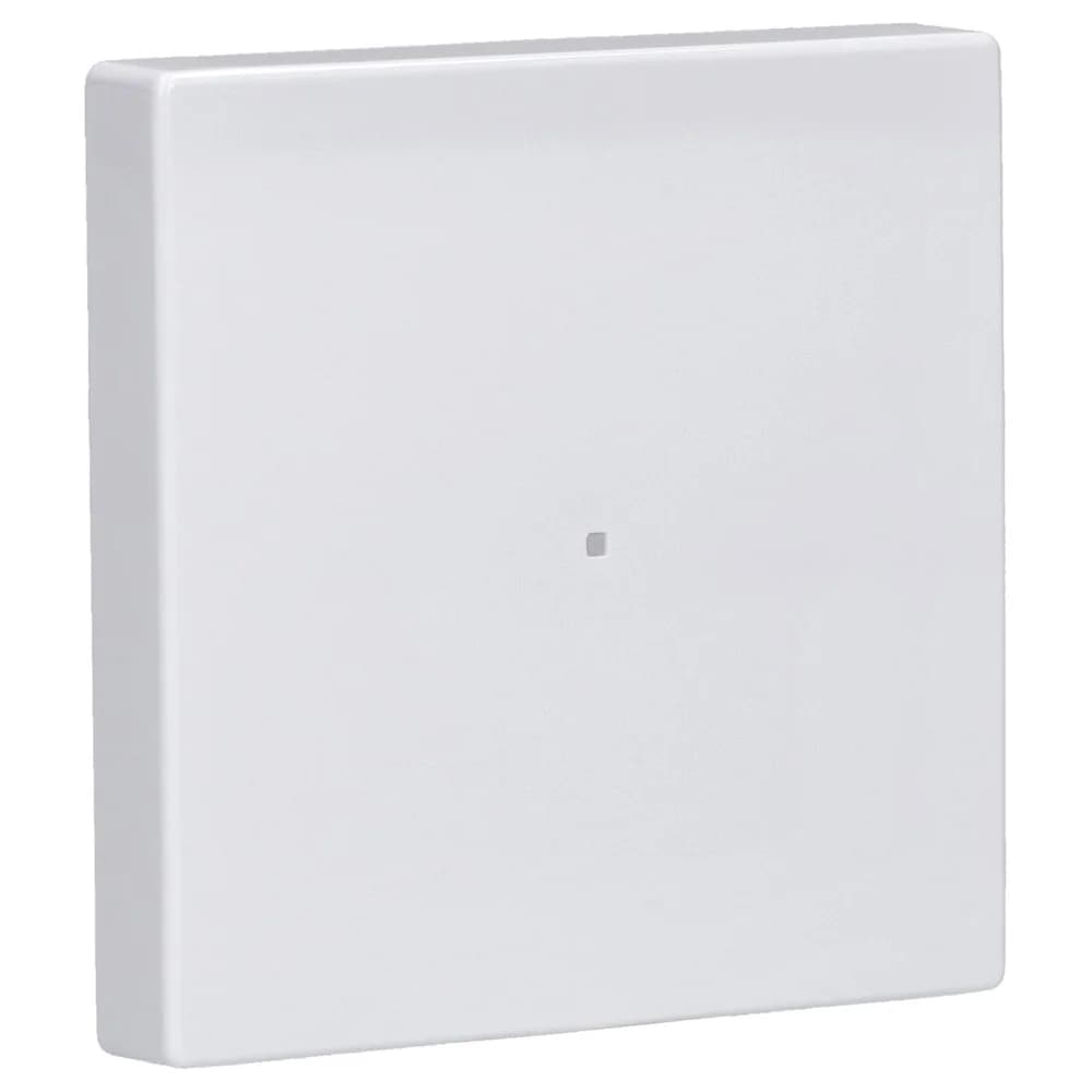 Busch-Jaeger 2CKA001582A0364