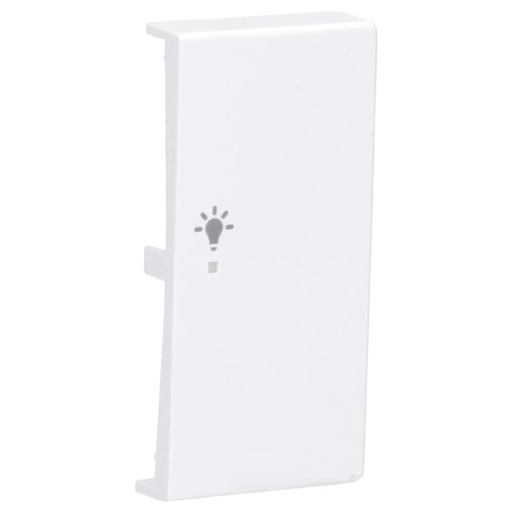 Busch-Jaeger Wippe 2-f re, Symbol Licht 6231-22-84