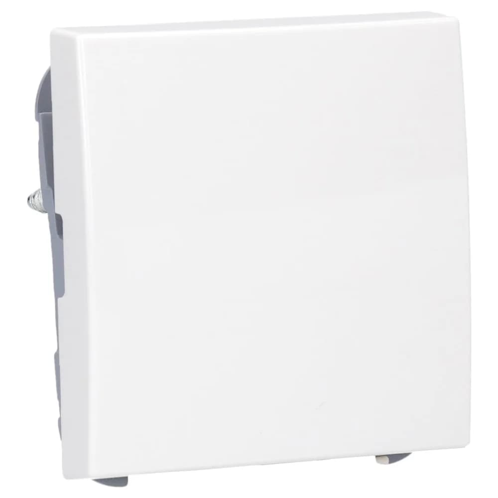 Busch-Jaeger Wippe aws 2546-914