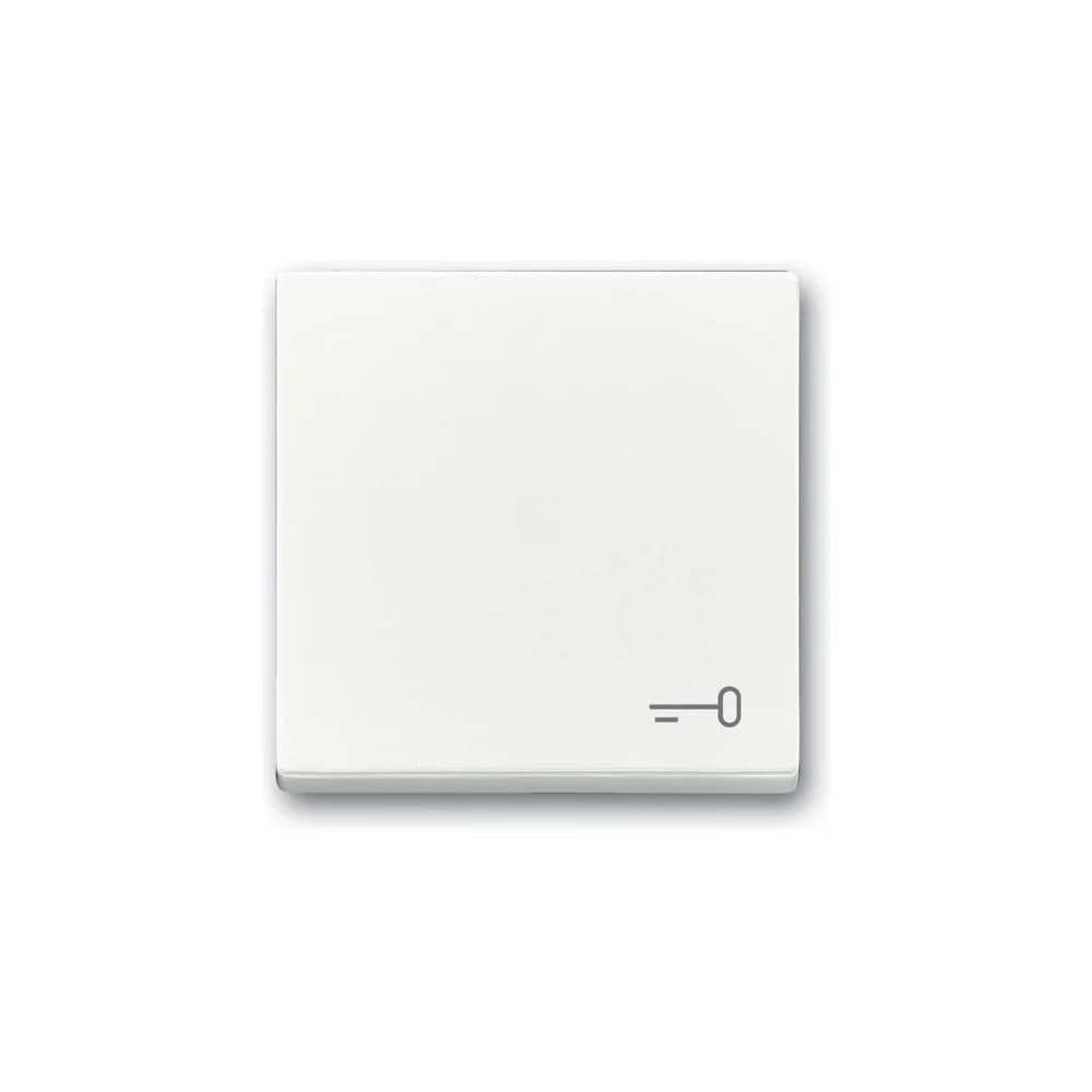 Busch-Jaeger Wippe mit Aufdruck 2520 TR-84