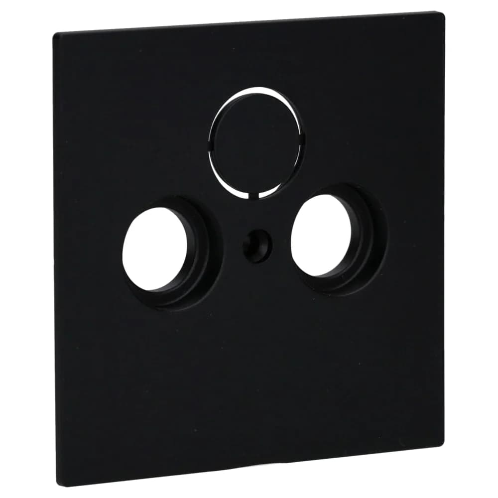 Busch-Jaeger Zentralscheibe 1743-45M
