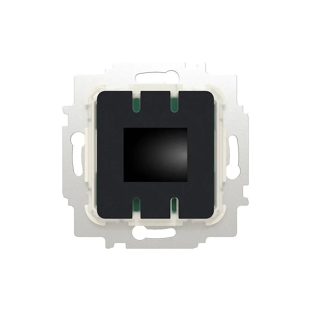 Busch-Jaeger Raumtemp.-regler Einsatz 62841 U-WL