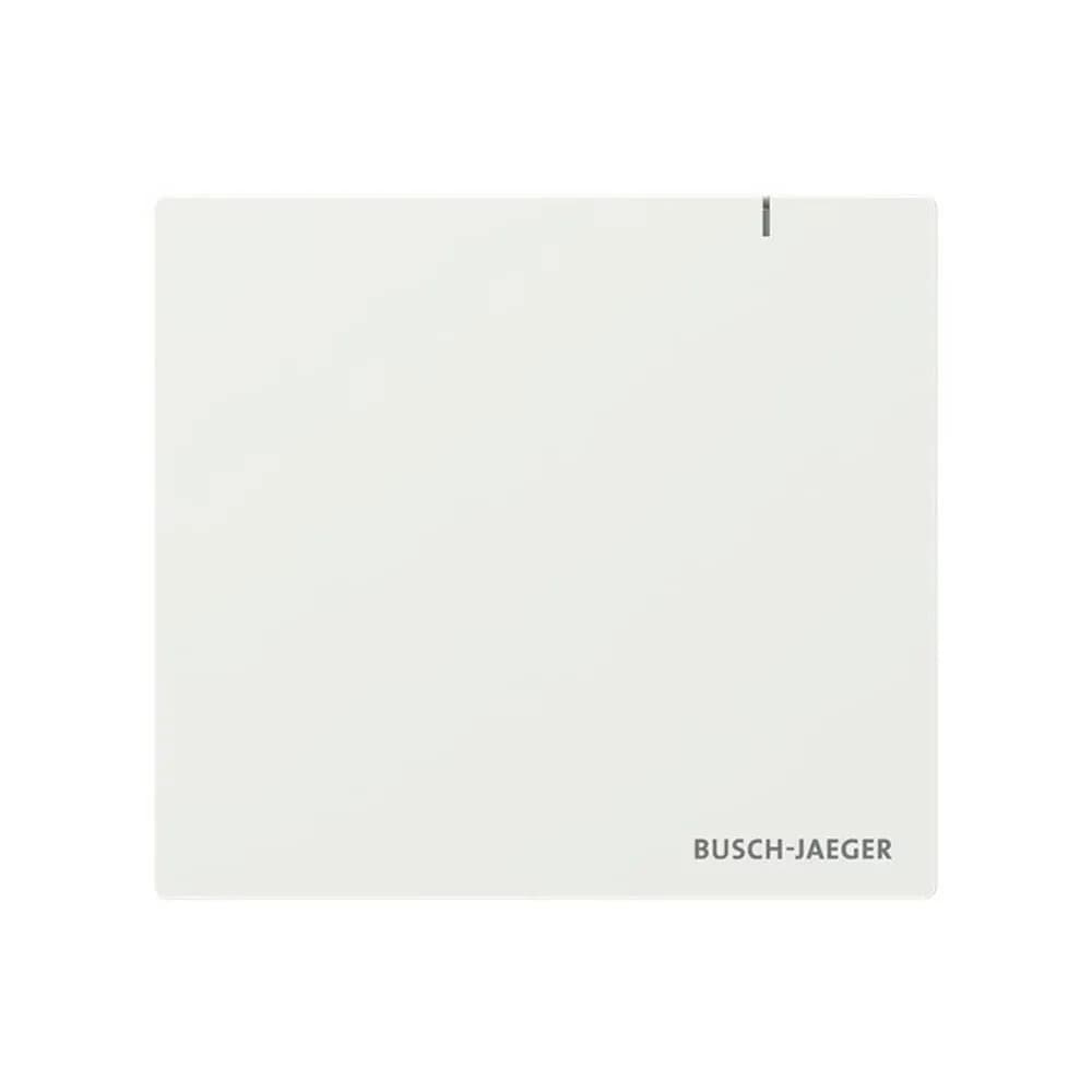 Busch-Jaeger System Access Point SAP.13