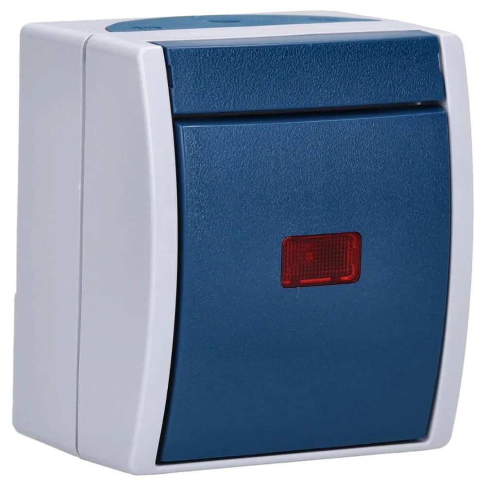 Busch-Jaeger Kontrollwechselschalter 2601/6 SKW-53
