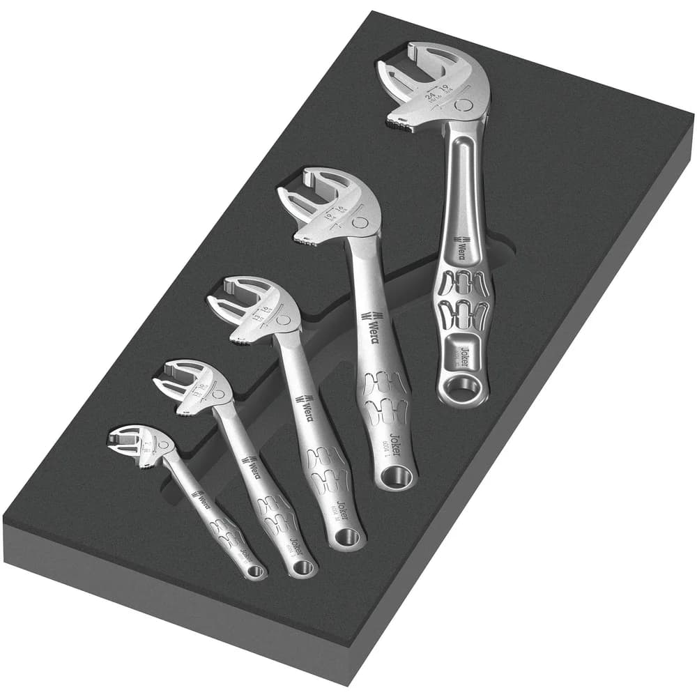 Werkzeugmodul 9732 5-tlg.WERA
