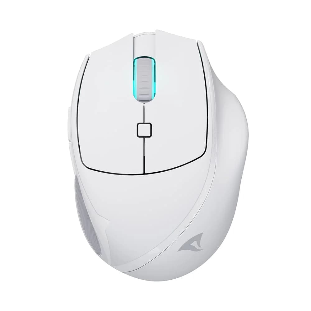 Sharkoon Maus