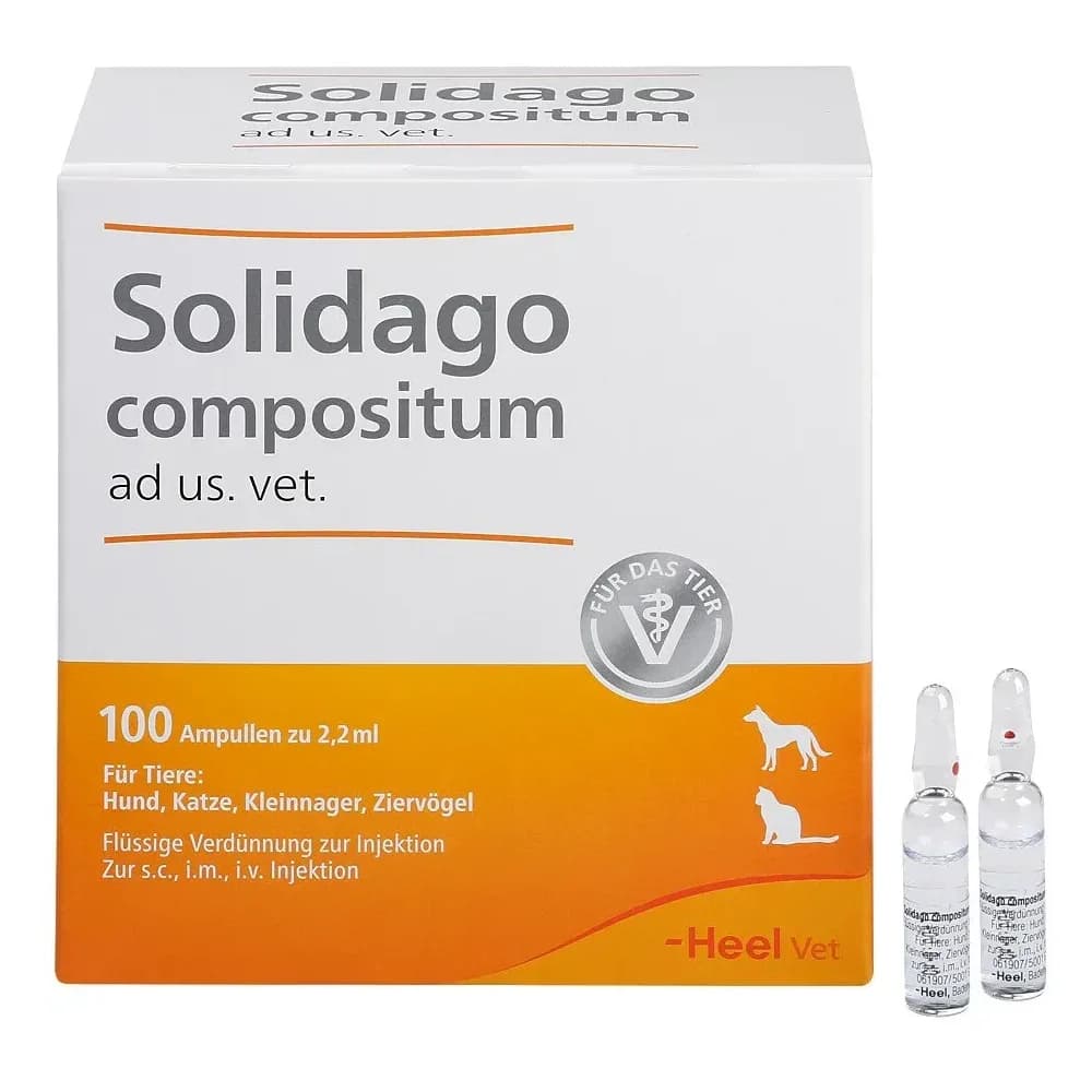 Solidago Comp Ad Us Vet