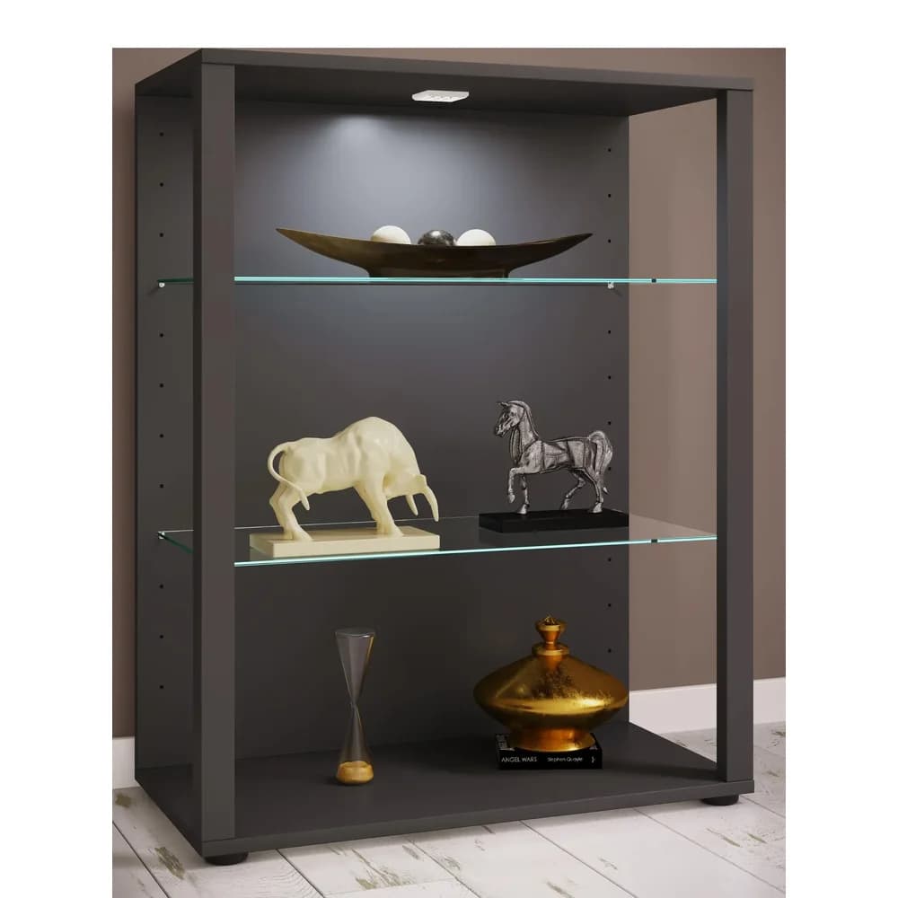 Vitrine Glasol XL Anthrazit